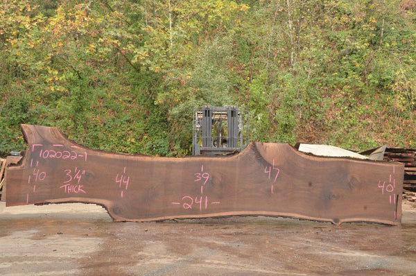 Oregon Black Walnut Slab 102022-02