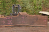 Oregon Black Walnut Slab 102022-03