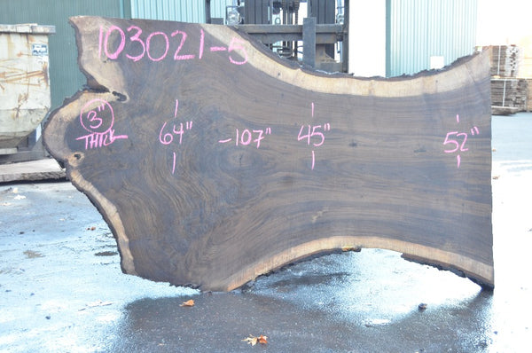 Oregon Black Walnut Slab 103021-05