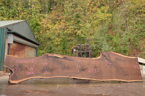 Oregon Black Walnut Slab 102022-05