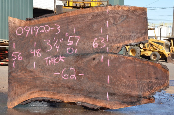 Oregon Black Walnut Slab 091922-03