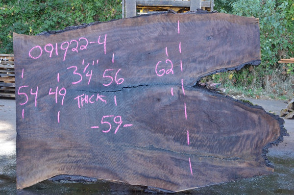 Oregon Black Walnut Slab 091922-04