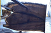 Oregon Black Walnut Slab 091922-05