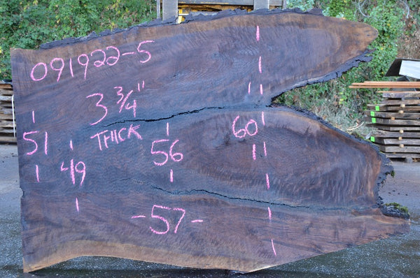 Oregon Black Walnut Slab 091922-05