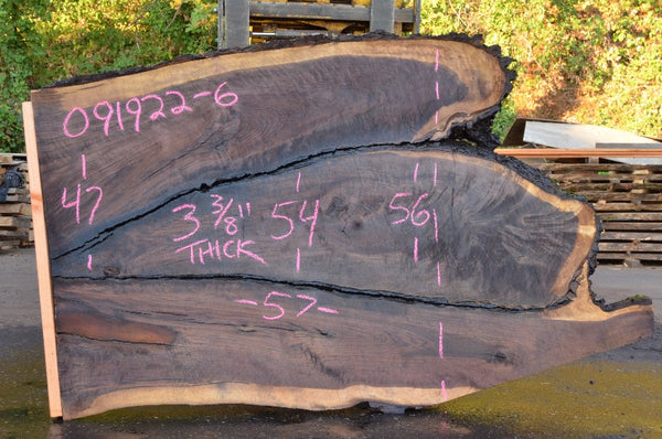 Oregon Black Walnut Slab 091922-06