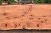 Redwood Slab 080122-02