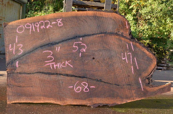 Oregon Black Walnut Slab 091922-08