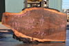 Oregon Black Walnut Slab 091922-09