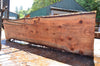Redwood Slab 080122-05