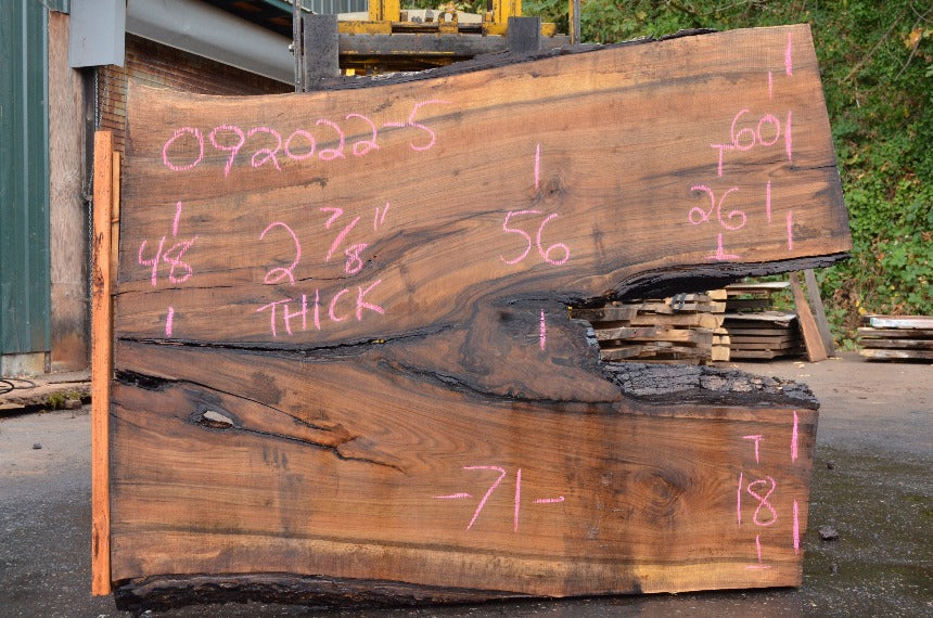 English Walnut Slab 092022-05