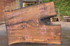 English Walnut Slab 092022-07