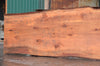 Redwood Slab 080922-05