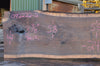 Oregon Black Walnut Slab 092222-02