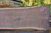 Oregon Black Walnut Slab 092222-02