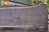 Oregon Black Walnut Slab 092222-03