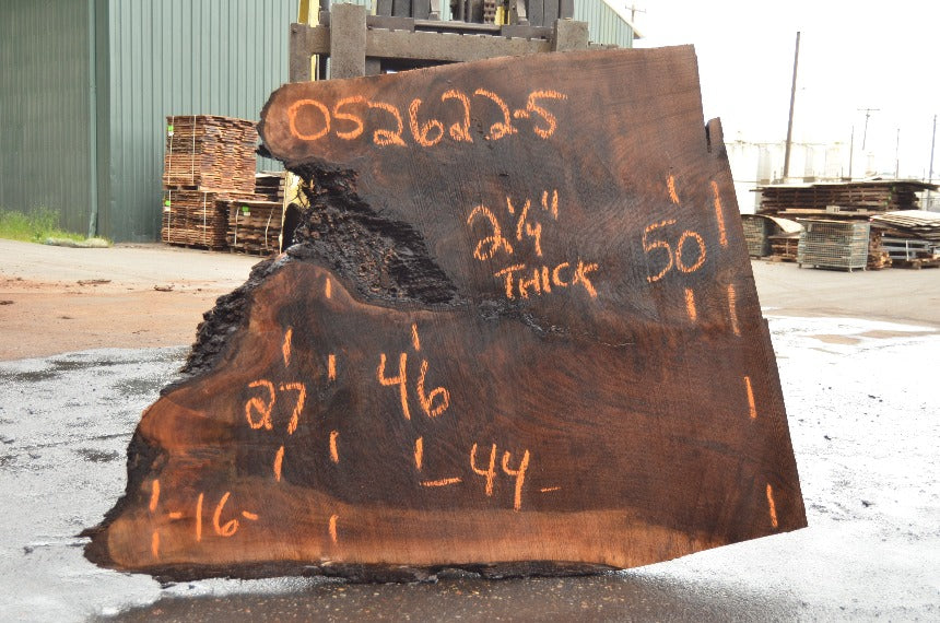 Oregon Black Walnut Slab 052622-05