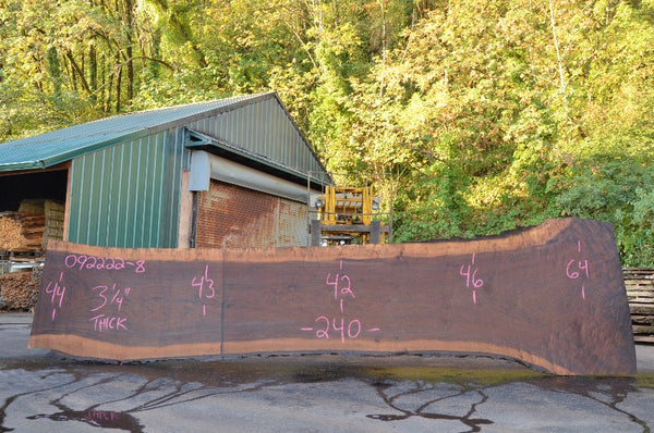 Oregon Black Walnut Slab 092222-08