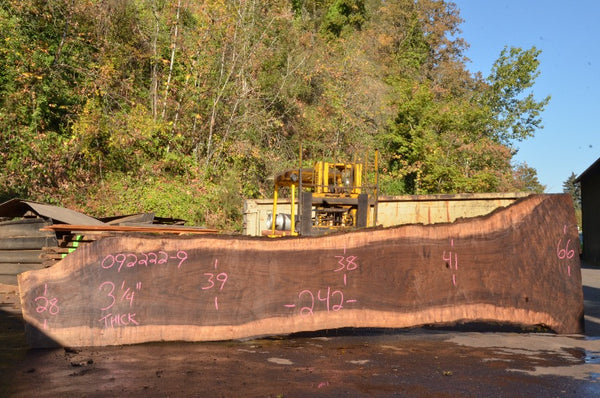 Oregon Black Walnut Slab 092222-09