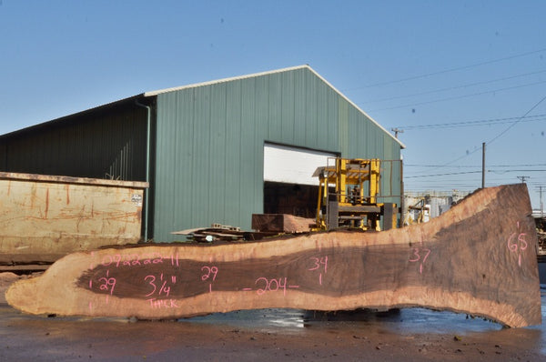 Oregon Black Walnut Slab 092222-11