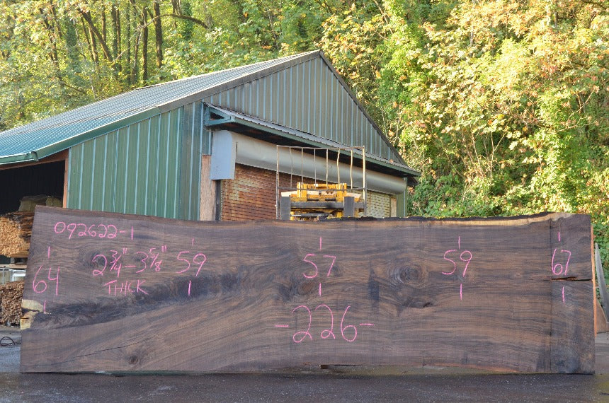 Oregon Black Walnut Slab 092622-01