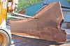 Oregon Black Walnut Slab 081522-01