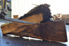 Oregon Black Walnut Slab 081522-11