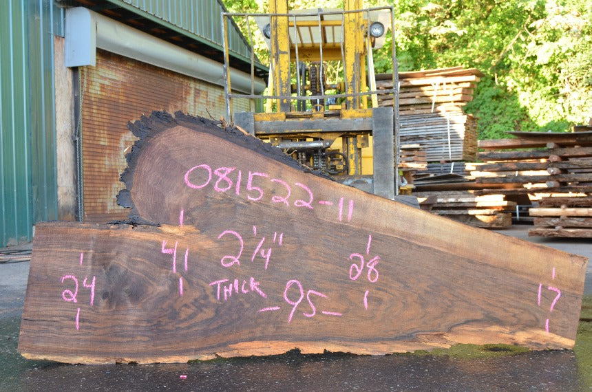 Oregon Black Walnut Slab 081522-11