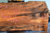 Big Leaf Maple Slab 081622-02