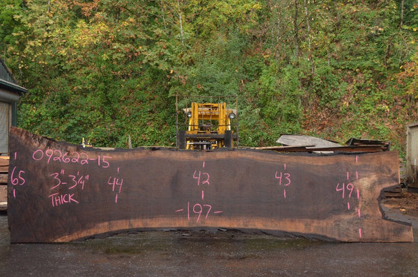 Oregon Black Walnut Slab 092622-15