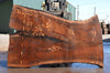 Oregon Black Walnut Slab 062122-02