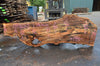 Big Leaf Maple Slab 083121-02