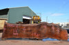 Oregon Black Walnut Slab 081922-08