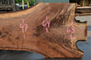 Oregon Black Walnut Slab 090721-04