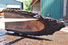 Oregon Black Walnut Slab 062222-04