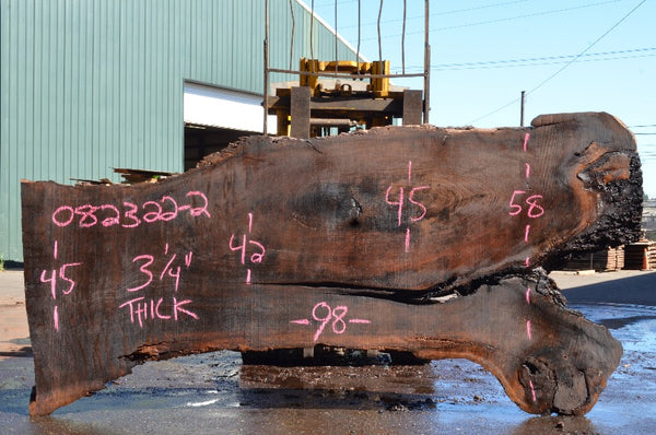 Oregon Black Walnut Slab 082322-02