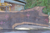 Oregon Black Walnut Slab 100722-13