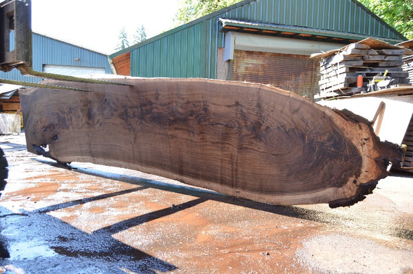 Oregon Black Walnut Slab 062322-06 – Goby Walnut Products, Inc