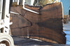 Oregon Black Walnut Slab 091121-07