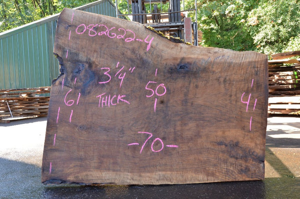 Oregon Black Walnut Slab 082622-04