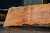 Big Leaf Maple Slab 080921-02