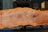 Big Leaf Maple Slab 080921-02