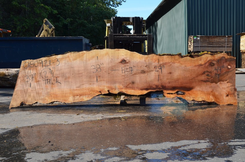 Big Leaf Maple Slab 080921-03