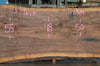 Oregon Black Walnut Slab 091521-06