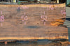 Oregon Black Walnut Slab 091521-06