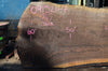 Oregon Black Walnut Slab 091521-07