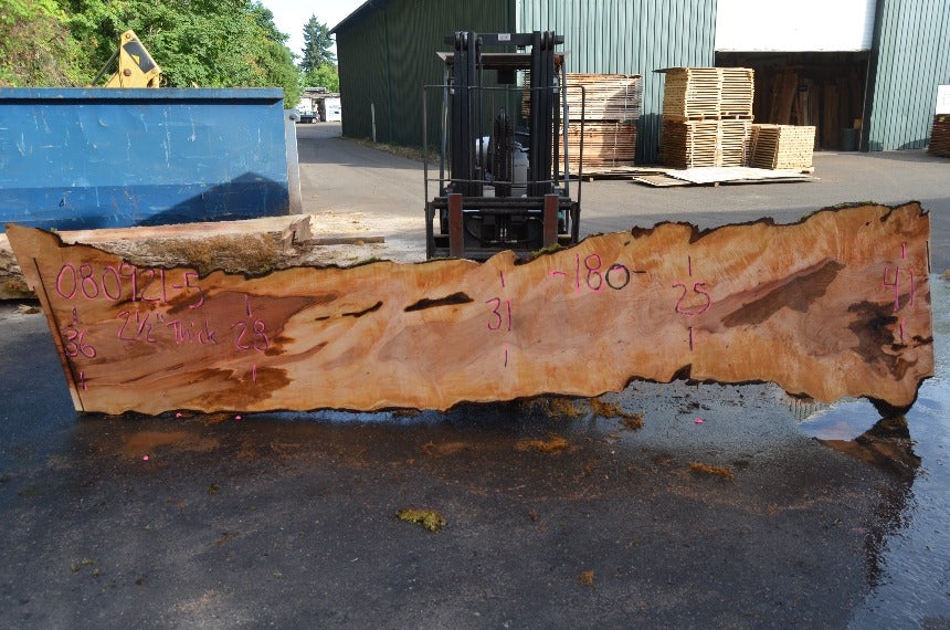 Big Leaf Maple Slab 080921-05