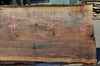 Oregon Black Walnut Slab 091521-07