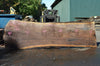 Oregon Black Walnut Slab 091521-07