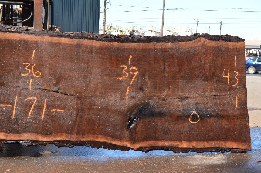 Oregon Black Walnut Slab 071822-01 – Goby Walnut Products, Inc