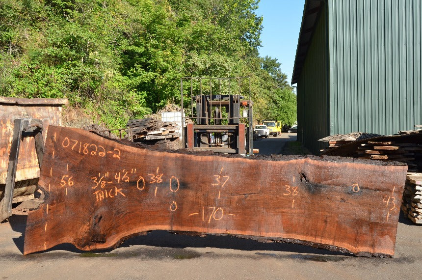 Oregon Black Walnut Slab 071822-02